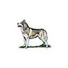 100 Pics answers and cheats level 1-50