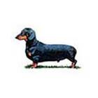 100 Pics answers and cheats level 1-50