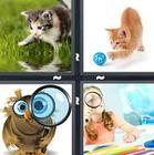 4 Pics 1 Word answers and cheats level 1224