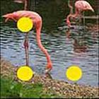 100 Pics answers and cheats level 1-50