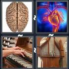 4 Pics 1 Word answers and cheats level 3133