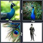 4 Pics 1 Word answers and cheats level 2076