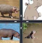 4 Pics 1 Word answers and cheats level 1363