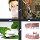 4 Pics 1 Word answers and cheats level 1017