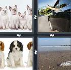 4 Pics 1 Word answers and cheats level 639