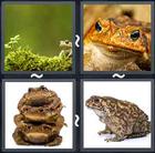 4 Pics 1 Word answers and cheats level 1679