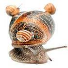 100 Pics answers and cheats level 51-100