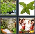4 Pics 1 Word answers and cheats level 3456