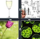 4 Pics 1 Word answers and cheats level 1008