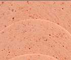 Zoomed In answers and cheats level 131-140