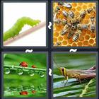 4 Pics 1 Word answers and cheats level 2999