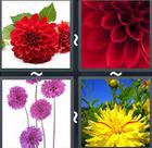 4 Pics 1 Word answers and cheats level 2406