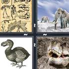 4 Pics 1 Word answers and cheats level 1289