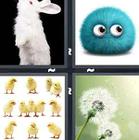 4 Pics 1 Word answers and cheats level 1337
