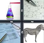 4 Pics 1 Word answers and cheats level 779