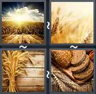 4 Pics 1 Word answers and cheats level 2043