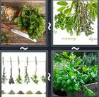4 Pics 1 Word answers and cheats level 2372
