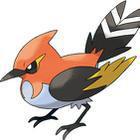 iGuess for Pokemon answers and cheats level 28