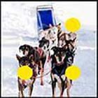 100 Pics answers and cheats level 1-50