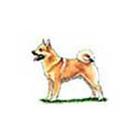 100 Pics answers and cheats level 51-100