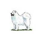 100 Pics answers and cheats level 51-100