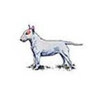 100 Pics answers and cheats level 1-50