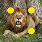 100 Pics answers and cheats level 1-50