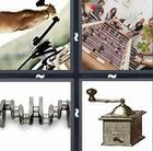 4 Pics 1 Word answers and cheats level 176