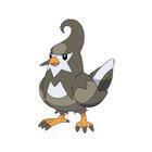 iGuess for Pokemon answers and cheats level 41