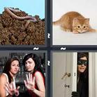 4 Pics 1 Word answers and cheats level 1219