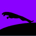 Quiz Mountain answers Animals pack level 19