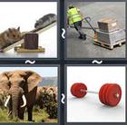 4 Pics 1 Word answers and cheats level 2506