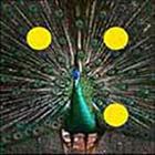 100 Pics answers and cheats level 51-100