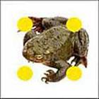 100 Pics answers and cheats level 51-100