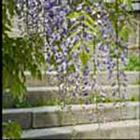 100 Pics answers and cheats level 51-100