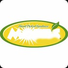 Munchiemania answers and cheats level 35-9