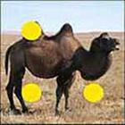 100 Pics answers and cheats level 1-50