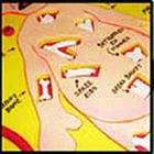 100 Pics answers and cheats level 1-50