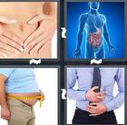 4 Pics 1 Word answers and cheats level 1389