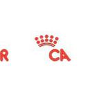 Logo Quiz Ultimate answers and cheats level 13