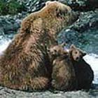 100 Pics answers and cheats level 1-50