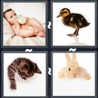 4 Pics 1 Word answers and cheats level 3267