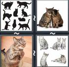 4 Pics 1 Word answers and cheats level 2391