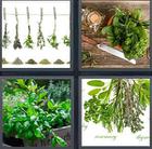 4 Pics 1 Word answers and cheats level 3535