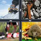 4 Pics 1 Word answers and cheats level 307