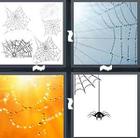 4 Pics 1 Word answers and cheats level 1487