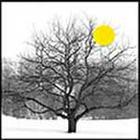 100 Pics answers and cheats level 51-100