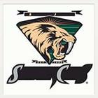 Sports Logos Quiz answers and cheats level 9-7