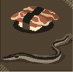 Quiz Mountain answers Animals pack level 9