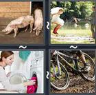 4 Pics 1 Word answers and cheats level 2462